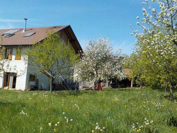 La maison des Hirondelles