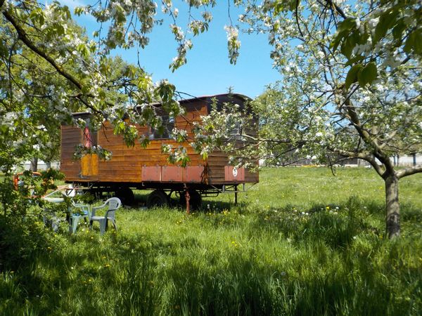 La roulotte de Elise et Matthieu