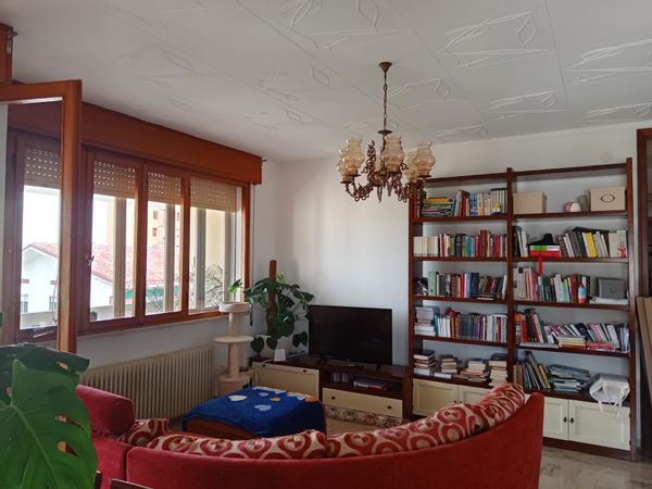 Nerjada's house