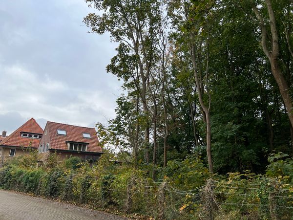 Huis in Castricum