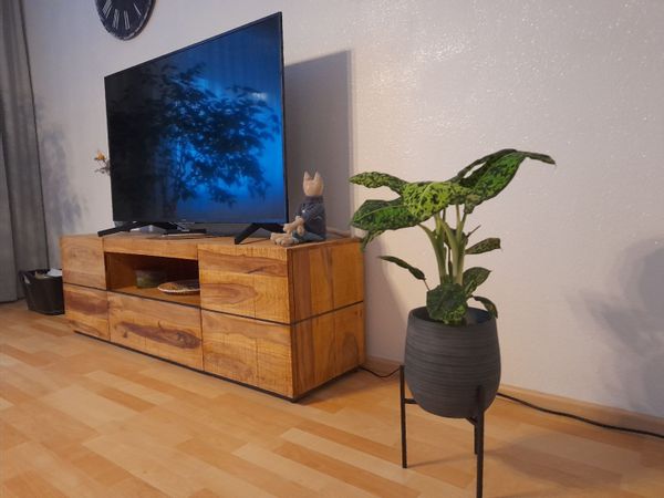 La maison de Sneshana