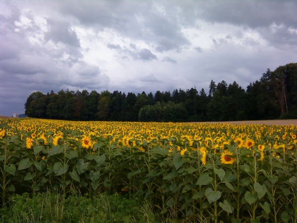 Zürich is waiting for you!