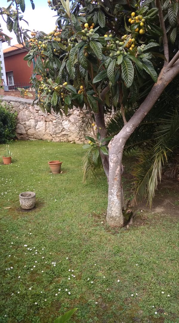 Raquel's house