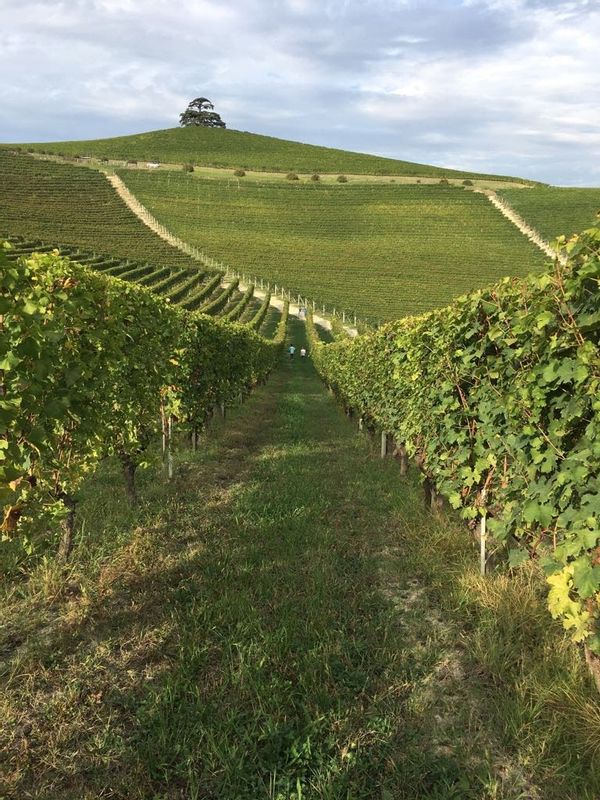 Nel cuore delle Langhe Italia - casa di Anna
