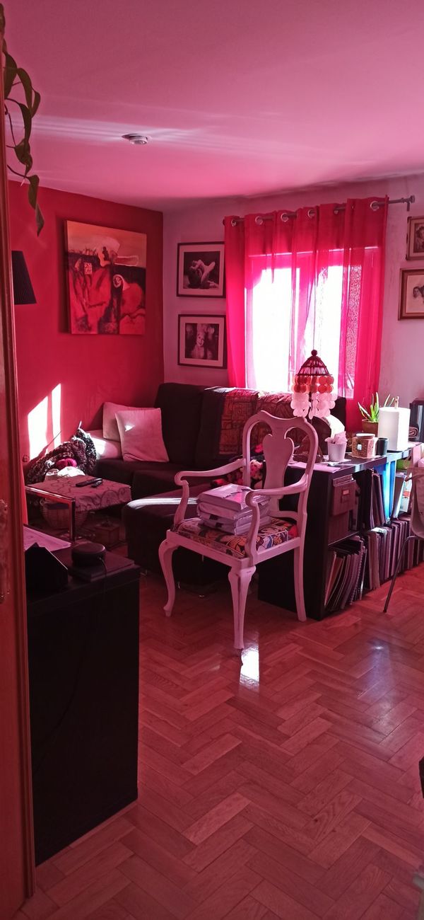 Carolina's house