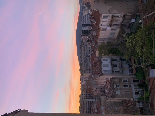 Appartement cosy près du parc Longchamp