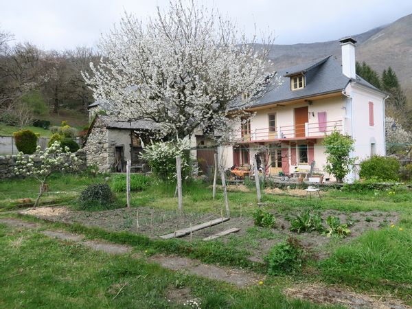 La maison de THIERRY et EDITH pour deux semaines consécutives en aout