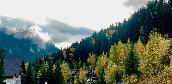 La maison de Scott and Leah Ann