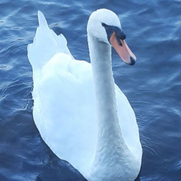 La maison de Antonio