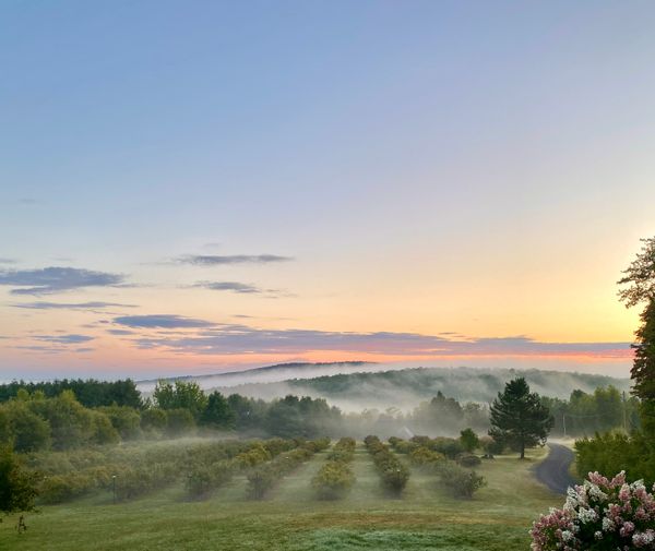 Marie-Claude and Patricks hus