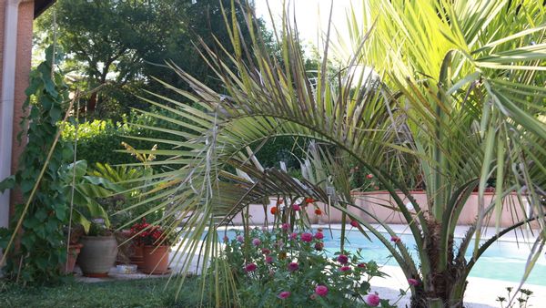 Casa di Elaine and Stéphane