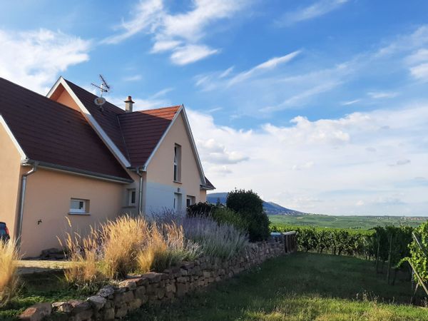 Au coeur du vignoble d'Alsace