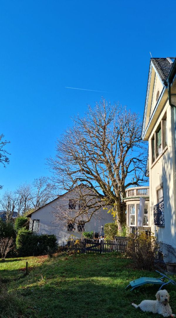 Grand appartement dans maison classée, à 100m de la forêt du Taunus.