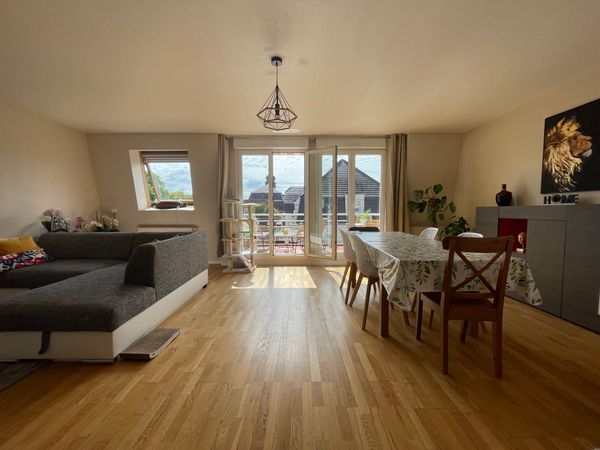 Grand duplex aux portes de Strasbourg - dispo pour Noel