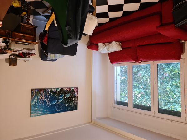 Marina Mattiazzi's house