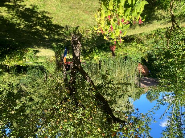 Dominik and Friederikes hus