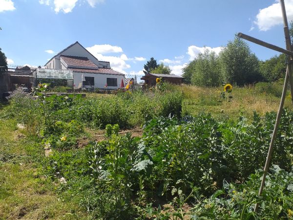 Maison familiale avec grand jardin et piscine, à 20 minutes de Bruxelles