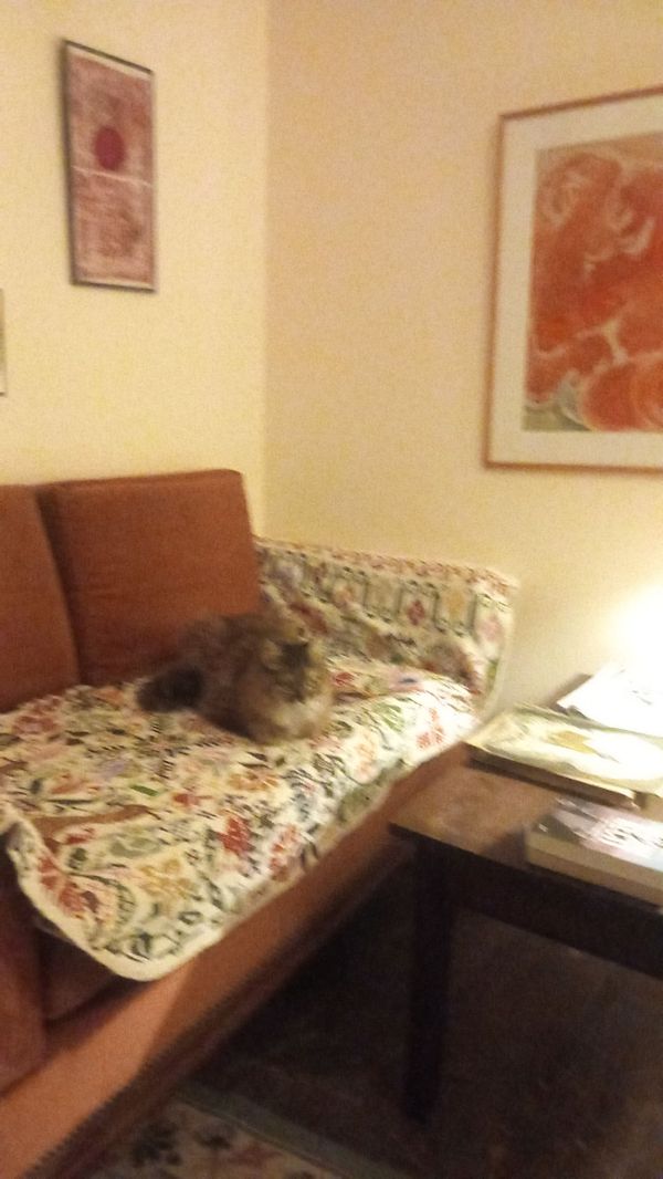 Une terrasse sur la Creuse