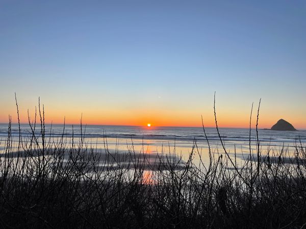 Gardner's Beach House