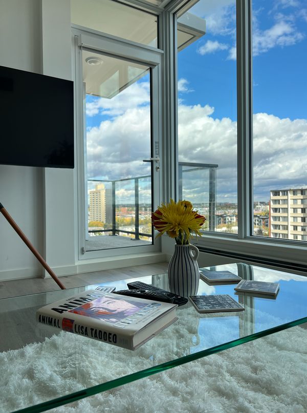 Modern Condo in Edmonton