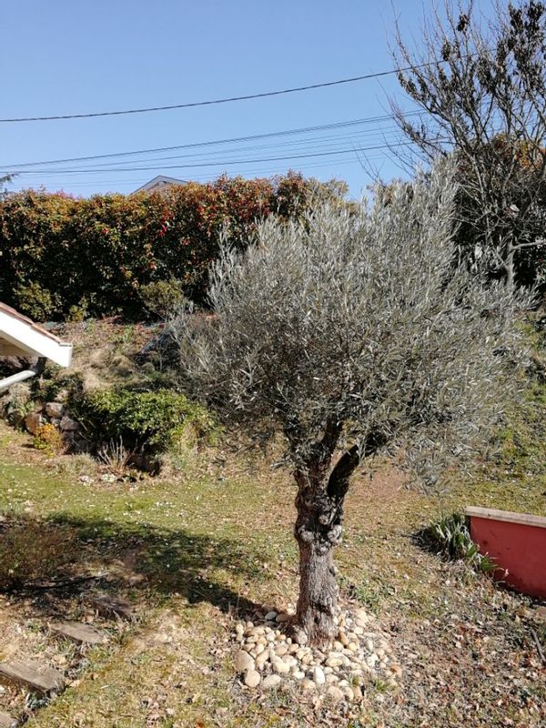 La maison de famille de Fleurieu