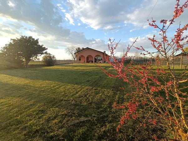 Un oasi di pace nella prima periferia di Padova, nel cuore del veneto!