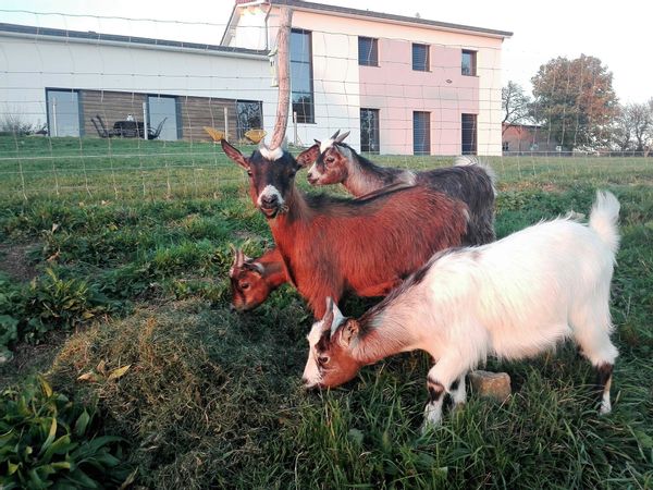 Vosges / Vittel : maison en bois avec vue panoramique