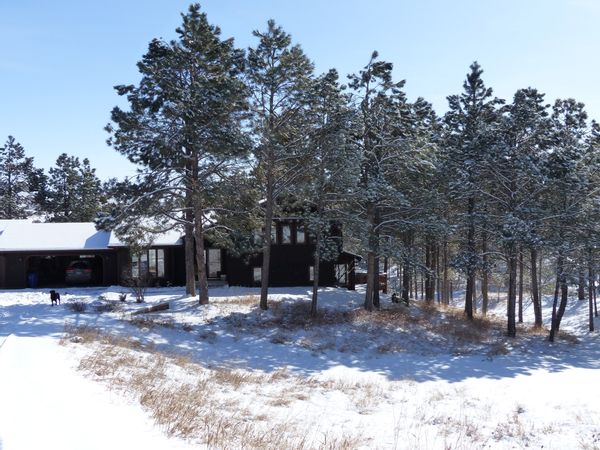 Beautiful woodland family home in Rapid City