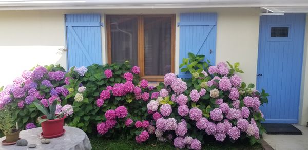 La maison de Sabah