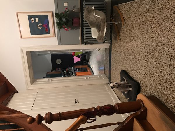 Judith's house