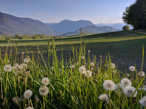 La maison de Juliette, Antoine et Maï