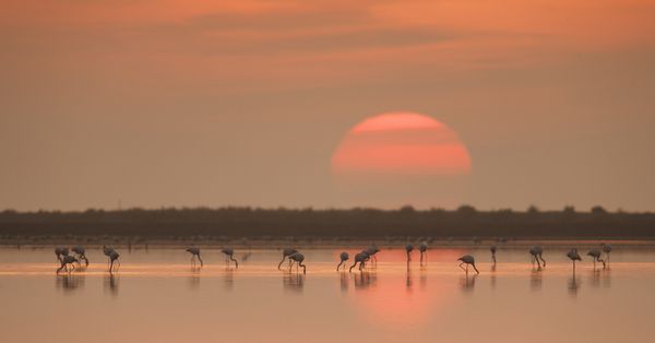 Alba, Heribert and Auras hus