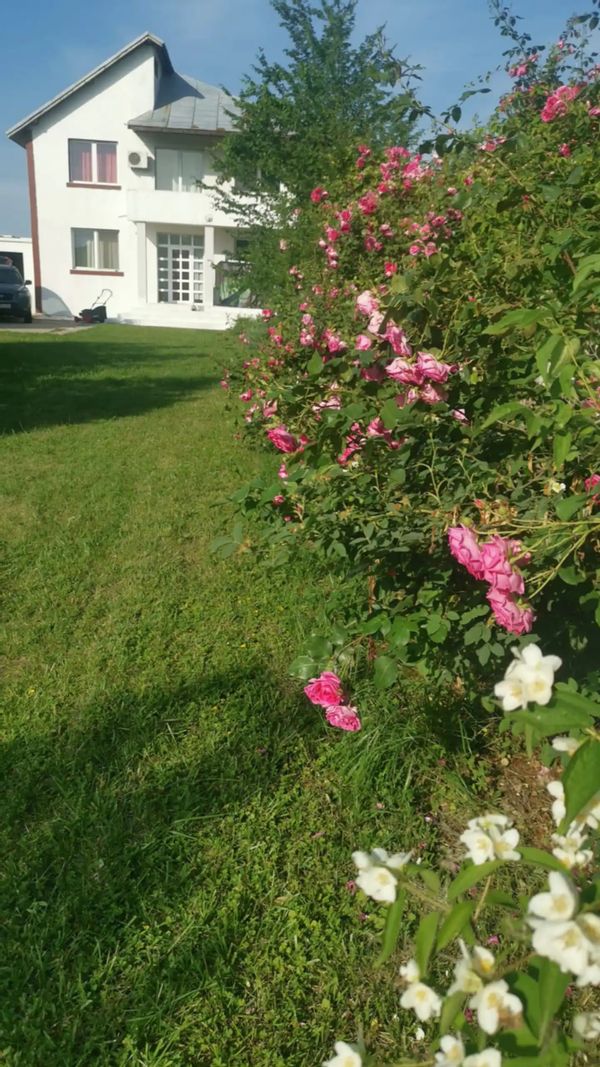 LARGE SPACIOUS VILLA BY THE LAKE NEAR BUCHAREST AND AIRPORT