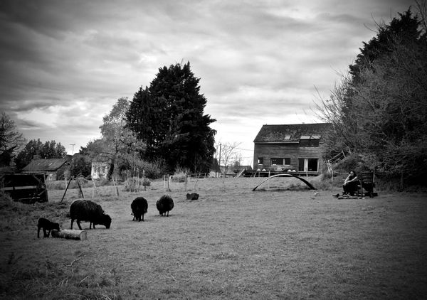 Maison écologique en bois ( auto construction) dans un cadre de verdure charmant en Bretagne.