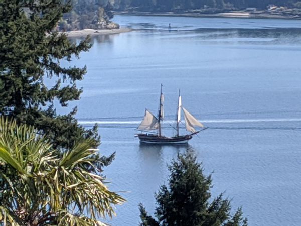 Puget Sound Spectacular Views and Beach Access