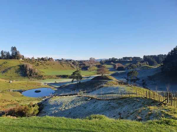 Guest Cottage (no cleaning fee)