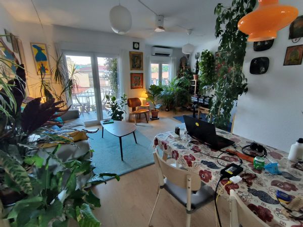 Rafael's house