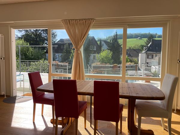 Sunny south-facing apartment with sliding glass doors to private terrace & view of Österberg.