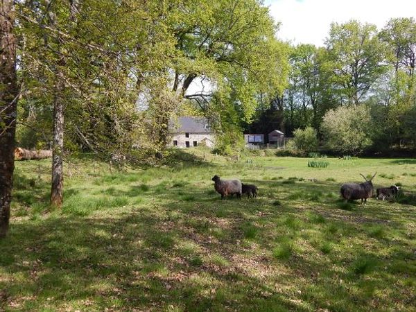 La maison des Galloulay