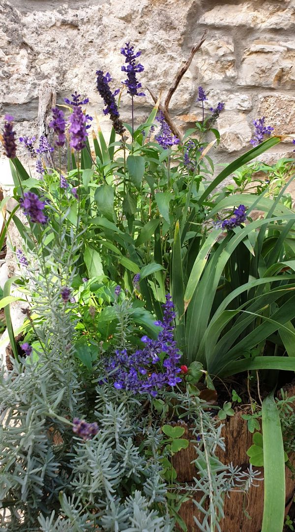 Home in Valle d'Istria (Bale- Croatia)