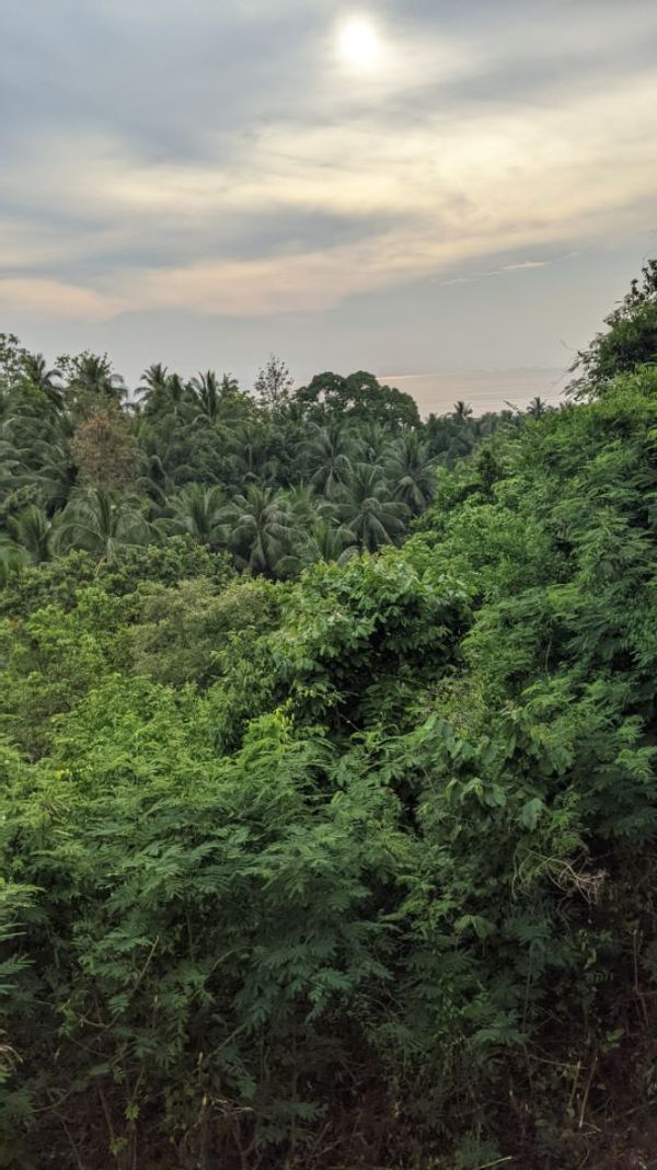 La maison de Molly & Simon