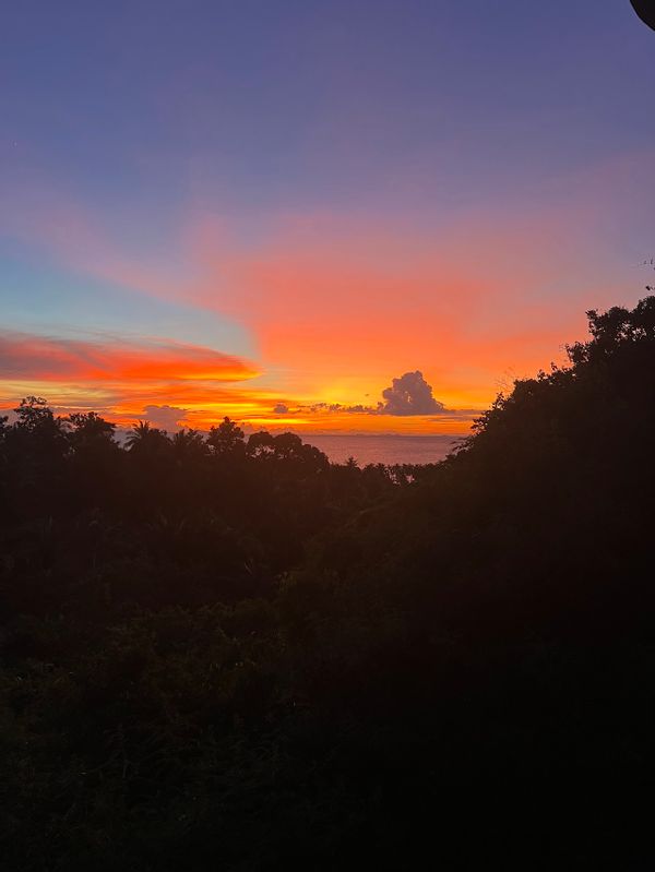 Casa di Molly & Simon