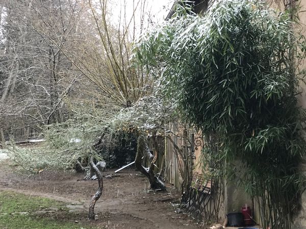 La maison de Francois