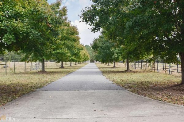 Beautiful Estate in the Country