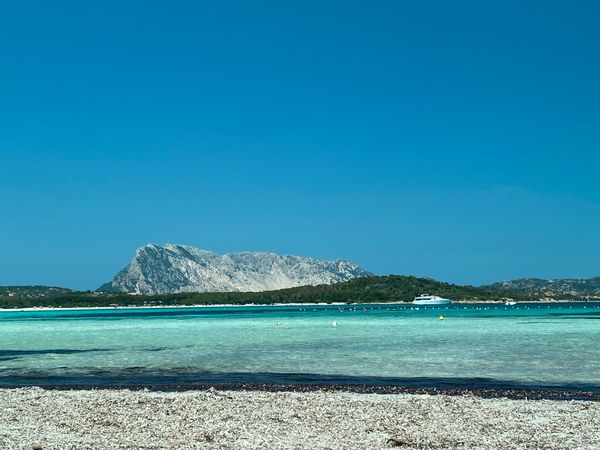 Dependance Murta Maria - Olbia