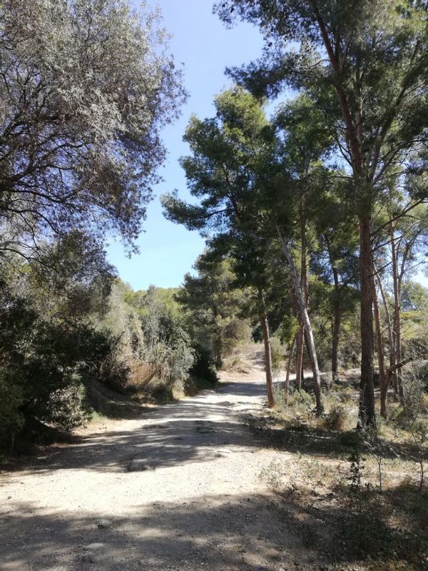 La maison de Mirko et Sílvia