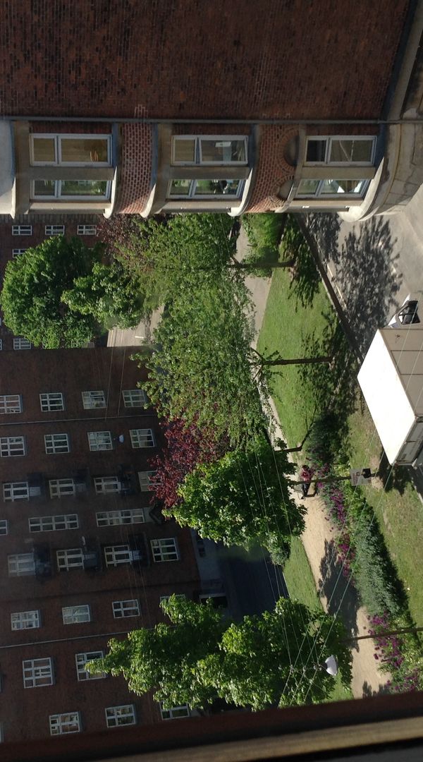 Jeanette’s oasis in the city.