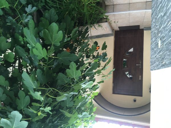 Mohamed's house