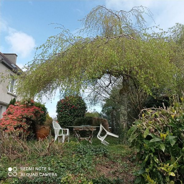Maison au cœur des montagnes noires