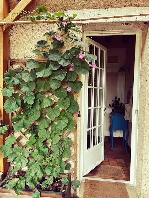 Adrien et Yuweis hus